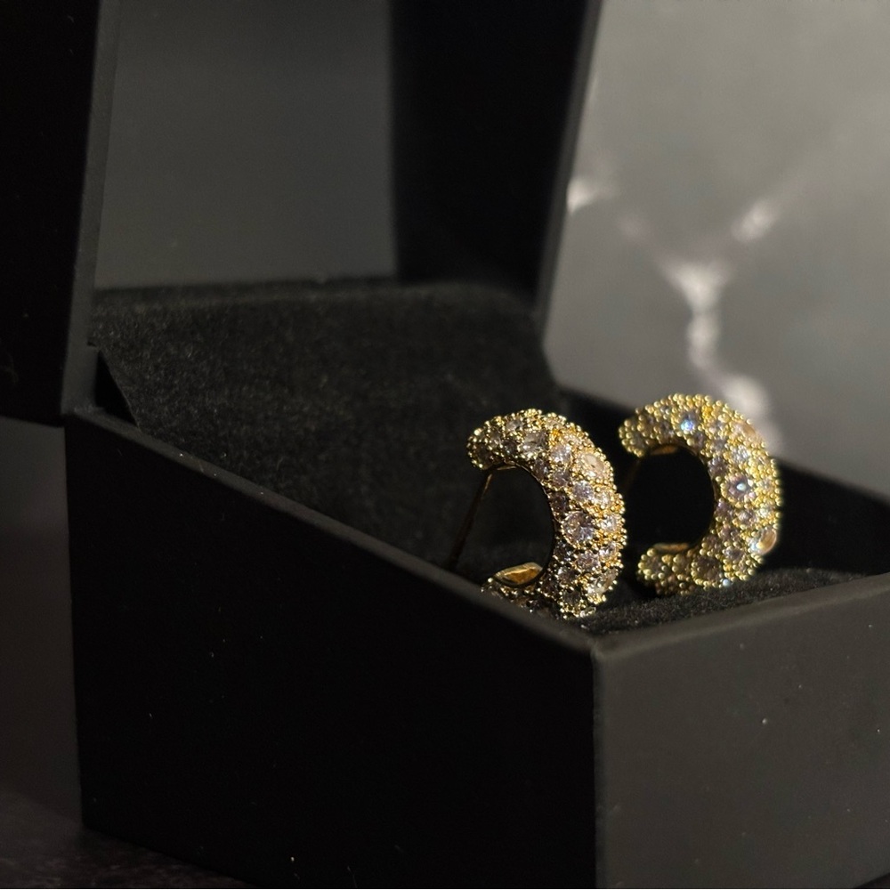Elegant Gold and Silver Hoop Earrings